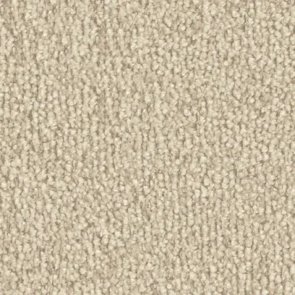 Vorwerk Safira Teppichboden Farbcode 8H76 – Draufsicht ohne Etikett